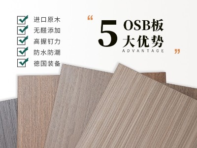 魯麗精板 纖絲錦木-1