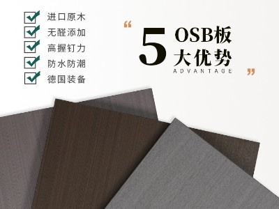 魯麗精板  加利葉語