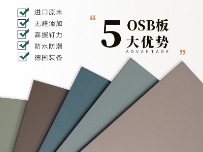 魯麗精板 晶砂灰