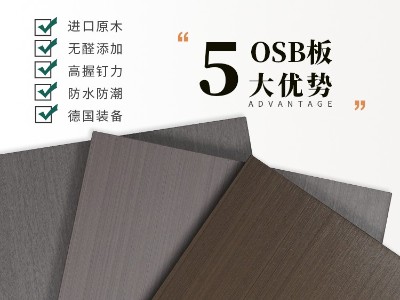 魯麗精板-都市之光