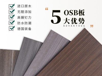 魯麗精板-俄羅斯紫榆