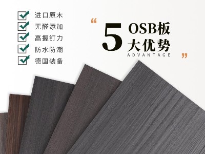 魯麗精板-時光流影-2