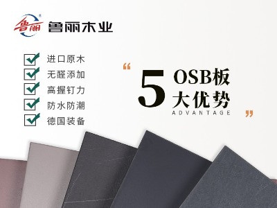 魯麗精板 薩爾斯堡灰