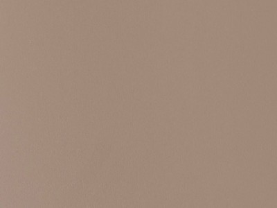 星耀精板-可卡其