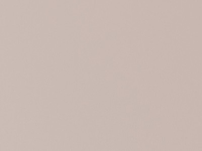 星耀精板-米咖色