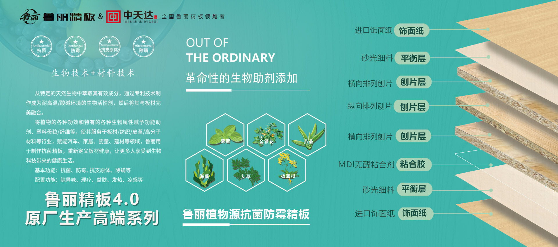 中天達(dá)-木門,不止于顏值